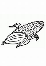 Printable Corn Coloring Pages  pages Vegetable coloring sketch template