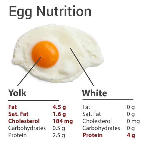 Egg Nutrition Facts – Understanding the Truth About Eggs