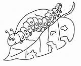 Caterpillar And Butterfly Coloring Pages At GetColoringscom  Free sketch template
