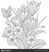 Petals Coloring Pages sketch template