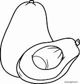 Avocado Coloring Pages 6 Free Printables  ColoringAll sketch template