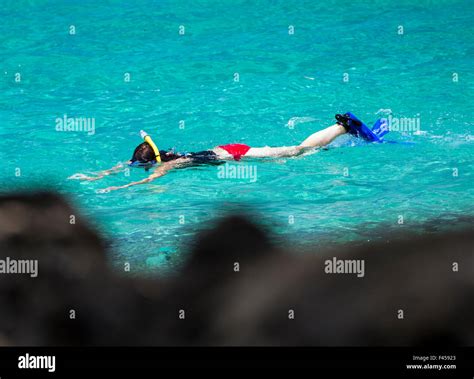 Swimmers snorkeling, Hapuna Beach, Kohala Coast, Hawai'i, USA Stock ...