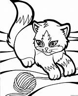 Careful Kitten Coloring Page » Turkau sketch template