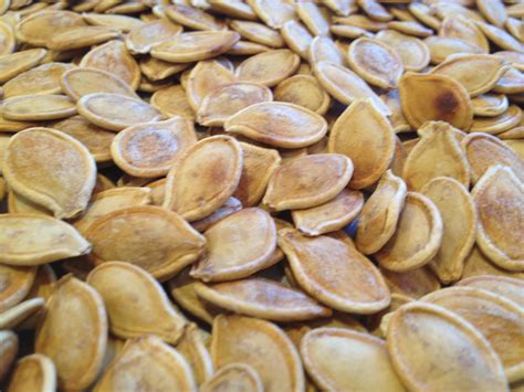 How to Roast Pumpkin Seeds – Suz Daily