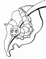 Caterpillar And Leaf coloring Page  Download Print Or Color Online sketch template