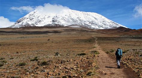 Why is Mount Kilimanjaro covered with snow at the summit?