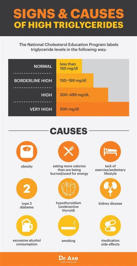 Signs and causes of high triglycerides - Dr. Axe #controlcholesterol | Lower triglycerides ...