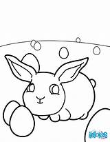 Baby Rabbit Coloring Pages sketch template
