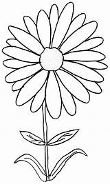 Daisy Flower Coloring Page sketch template