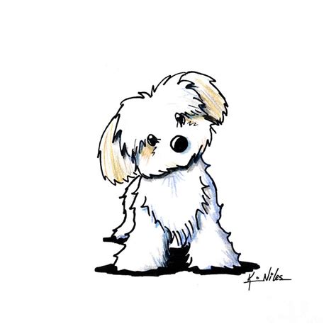 Maltese Dog Drawing at GetDrawings | Free download