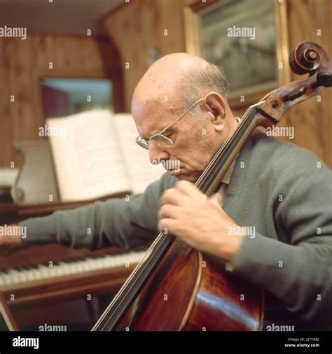 Historical cello player hi-res stock photography and images - Alamy