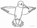 Printable Hummingbird Coloring Pages For Kids  Cool2bKids sketch template