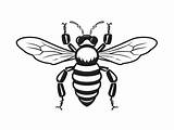 Bumblebee Coloring Sheet For Children  Page sketch template