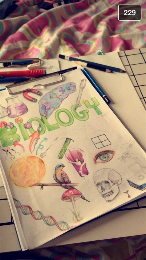 Biology Notebook Cover Illustrations by Ofir Levy 2024