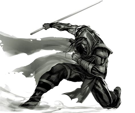 Ninja Samurai, 2013, cool, new, nice, HD wallpaper | Peakpx