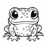 Desenho De Sapo Para Colorir PNG Images  Lucoxcl sketch template