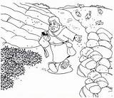 Sower Seed Parable Coloring Page For Kids Sketch sketch template