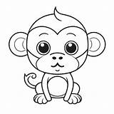 Monkey Clipart Outline Ape Coloring Wild Animal Template Jungle Clip  sketch template