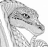 King Cobra Coloring Pages Sketch Page sketch template