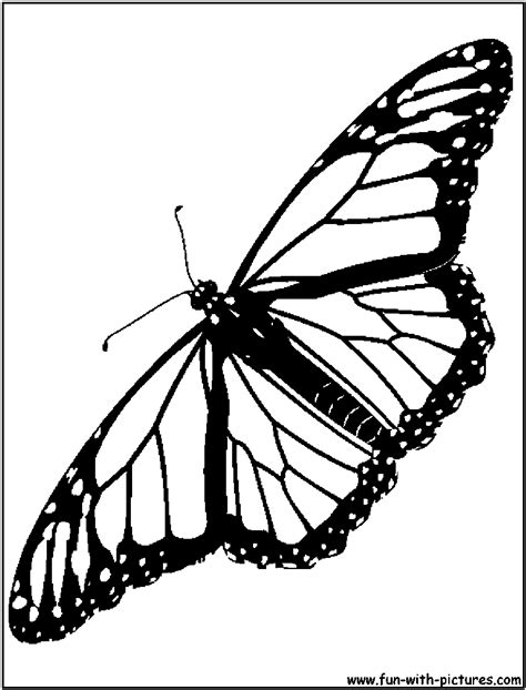 Monarch Butterfly Coloring Page | Porn Sex Picture