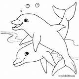 Cute Dolphin Coloring Pages sketch template