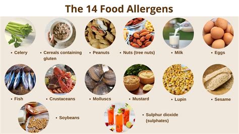 New Codex Code of Practice on Food Allergen Management: An Overview