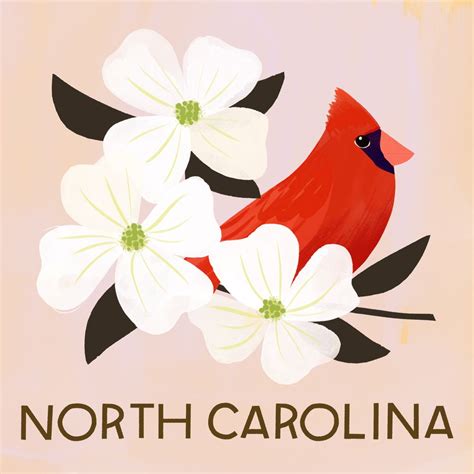 south carolina state flower and bird - Shantelle Griswold