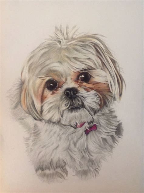 Pin by Ana Carolina on Home Decor | Watercolor dog, Pet portrait paintings, Animal paintings