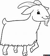 Free Printable Animal Coloring Pages For Kids sketch template