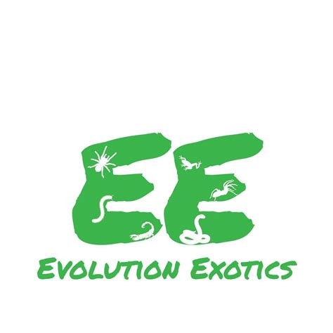 Evolution Exotics | Leeds