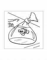 Disney Finding Nemo Coloring Pages 2025 sketch template
