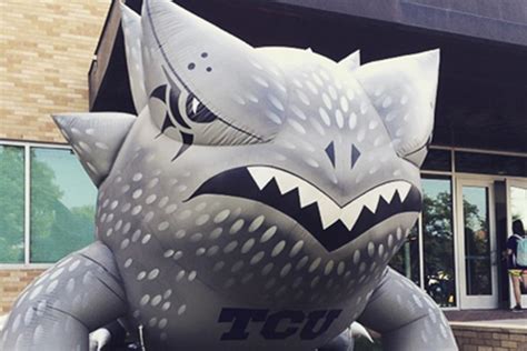 Texas Christian University Revs Up College Sports Marketing With ...