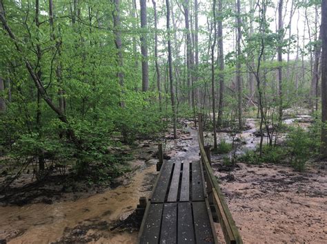 Natchez Trace State Park, Tennessee : r/hiking