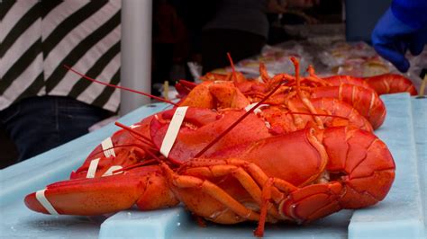 Maine Lobster Festival | Destinations Magazine