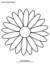 Daisy  Free Coloring Pages sketch template