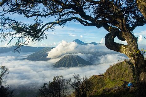 Wisata Bromo: Kunjungi Spot/Lokasi Terbaik Berikut Ini! - AkuTravel