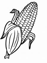 Corn Coloring Pages  Best For Kids sketch template