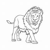 Male Lion For Coloring Vector Animal PNG And  sketch template