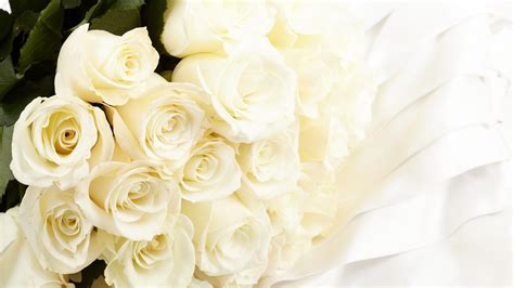 Pure White Roses - Roses Photo (34611005) - Fanpop