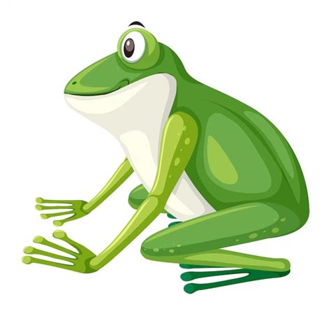 Premium Vector | Side view of green frog