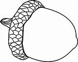 Acorn Oak Branch Pencil Coloring Pages sketch template