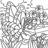 Butterfly Garden coloring Page  Download Print Or Color Online For Free sketch template