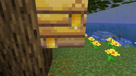 Minecraft - Bee Hive [53] - YouTube