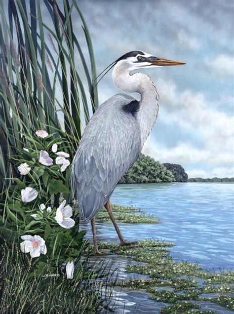 great blue heron painting | Heron art, Bird art, Birds painting