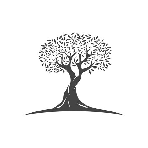 Olive tree vector illustration 17435933 Vector Art at Vecteezy