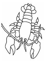 Lobster Coloring Pages And Printable Activities sketch template