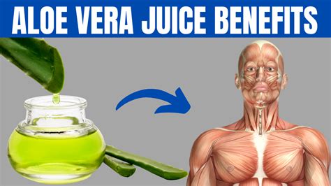 BENEFITS OF ALOE VERA JUICE - Top 10 Health Benefits of Aloe Vera Juice ...