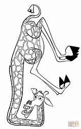 68 Madagascar Coloring Pages  ColoringPagesOnlycom sketch template