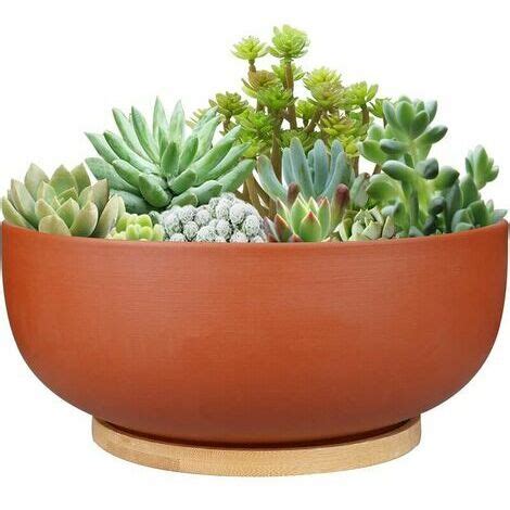 Large 25cm Round Terracotta Flower Pot with Drainage Hole and Bamboo Saucer for Indoor Plants ...