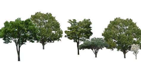 Building Site/Trees | 3D Warehouse